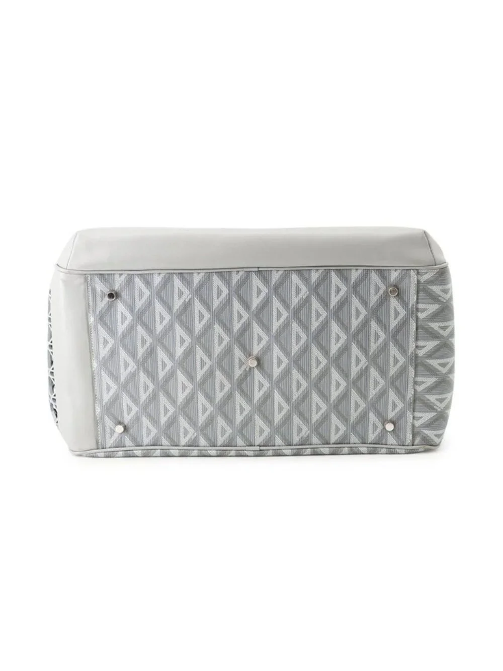 Dior Pet Carrier Bag Hit the Road Leather